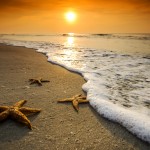 A Starry Sunrise