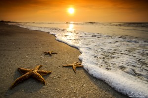 A Starry Sunrise