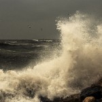 Black Sea Waves
