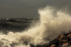 Black Sea Waves