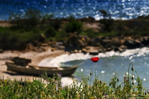 Fisherman's World