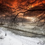 Nature's Drama