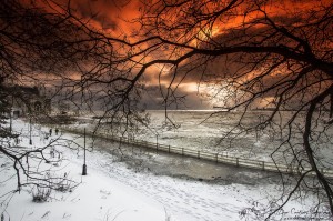 Nature's Drama